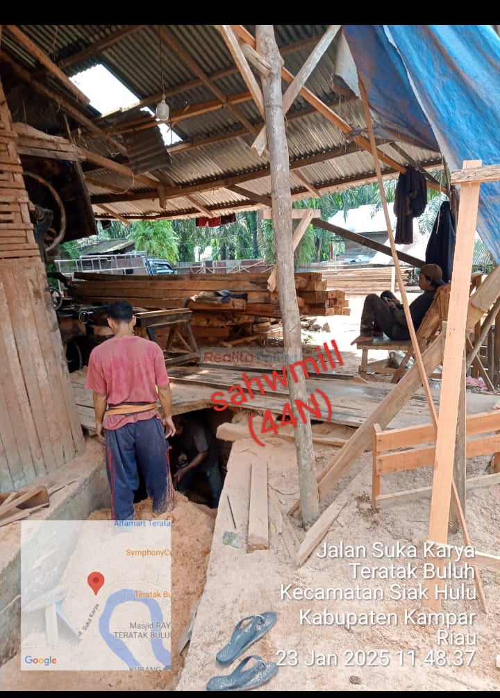 Diduga Marak Pengelola Kayu Illegal Logging di Simpang Kambing Kecamatan Siak Hulu