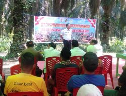 Wabup Resmikan Tumbang Perdana Replanting KPUD Sejahtera Dengan Mitra PT. Asian Agri