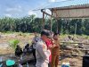 Polsek Ukui Tanam Jagung Kuartal II Wujudkan Swasembada Pangan di Kampung Baru