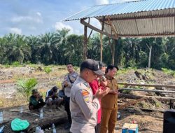 Polsek Ukui Tanam Jagung Kuartal II Wujudkan Swasembada Pangan di Kampung Baru