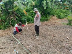 Polsek Bunga Raya Laksanakan Tanam Jagung Pipil Dukung Asta Cita